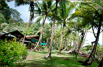 Regenwald Hotel Costa Rica 