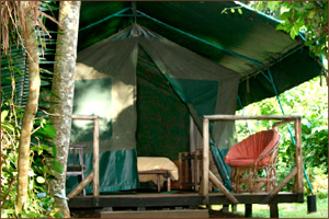 Kibale Forest Camp Uganda
