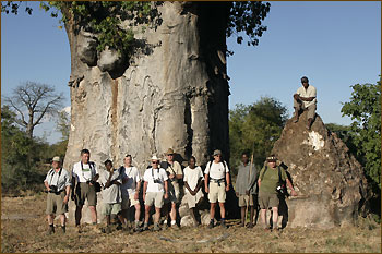 Botswana Rundreisen und Safaris 