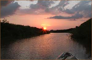 Bootstouren und Reisen in den Amazonas Regenwald