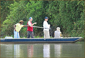 Tiere mit dem Boot beobachten 