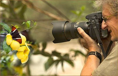 Reisen mit Schmetterlinge fotografieren