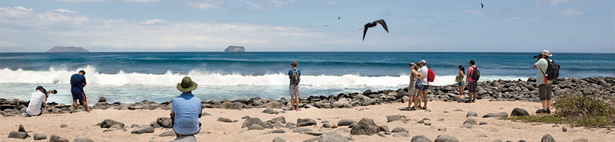  Galapagos Kreuzfahrt auf die Insel  Plaza Sur