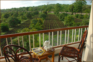 Aussicht vom Balkon unserer Lodge im Gir Nationalpark