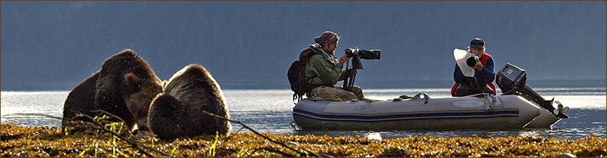 Grizzlybären beobachten und fotografieren