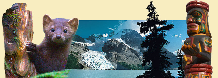 Gletscher in den Rocky Mountains auf unserer Rundreise durch Westkanada