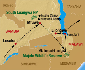Safari auf unserer Sambia Malawi Rundreise