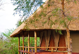 Murchison-Falls-Nationalpark in Uganda