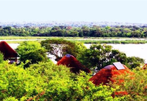 Murchison-Falls-Nationalpark
