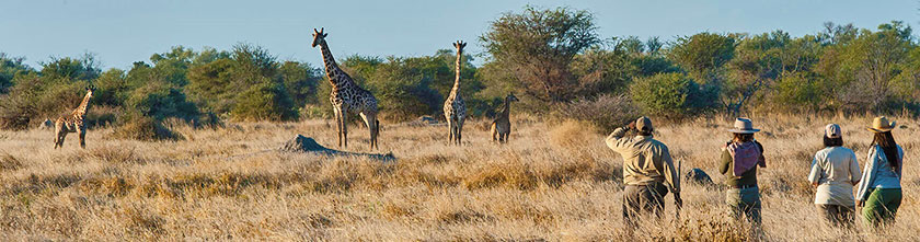 Wandersafari in Sambia