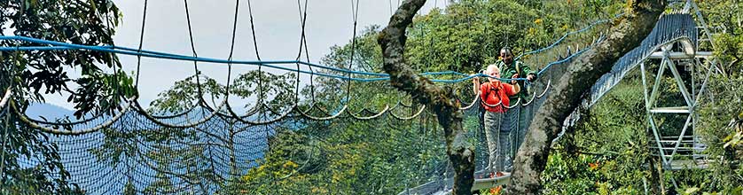 Hängebrücke im Nyungwe Nationalpark von Ruanda