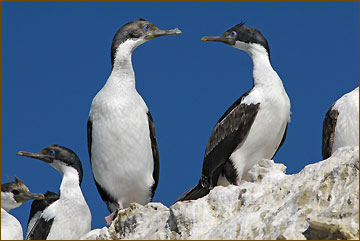 Naturreise und Fotoreise nach Patagonien