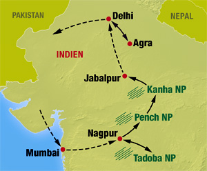 Indien Foto Reise mit Nationalparks Pench, Tadoba und Kanha