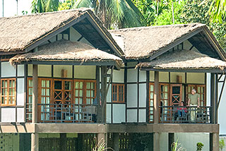 Zimmerbeispiel Wildgrass Kaziranga