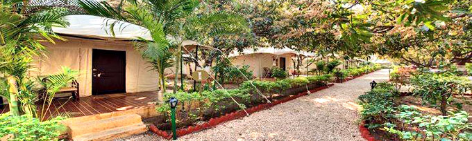 Luxus Camp in Gir