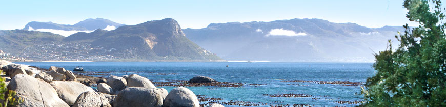 Kapstadt Tagestour mit Rundfahrt auf der Kap-Halbinsel