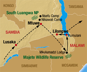 Safari auf unserer Sambia Malawi Rundreise