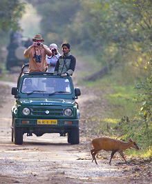 Jeeps in den indischen Nationalparks
