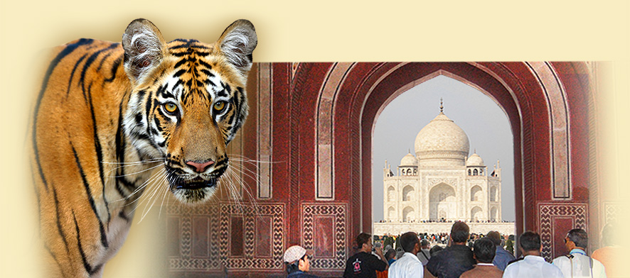 Deutschsprachige Indien Reisen mit Besuch des Taj Mahal