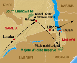Safari auf unserer Sambia Malawi Rundreise