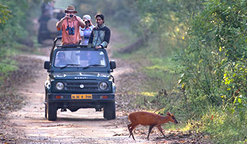 Hochwertige Indienreise mit privaten Safaris 
