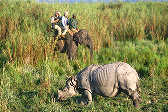 Elefanten Safari für Tiere beobachten in Indien