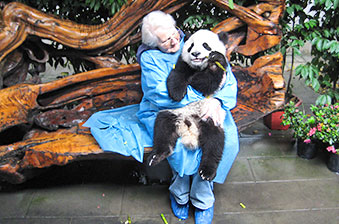 Als Volunteer bei den großen Pandabären