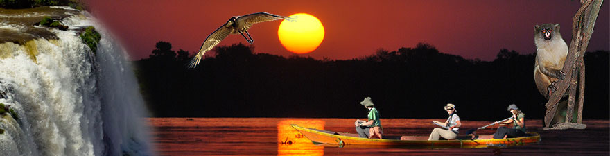 Bootsausflug auf unserer Pantanal Tour um Tiere zu beobachten