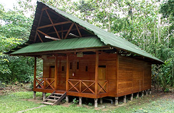 Bungalow im Regenwald