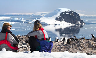 Pinguine auf der Insel Cuverville - Landgang mit Wanderung auf unseren Reisen in die Antarktis - Fauna-Reisen - Reiseveranstalter
