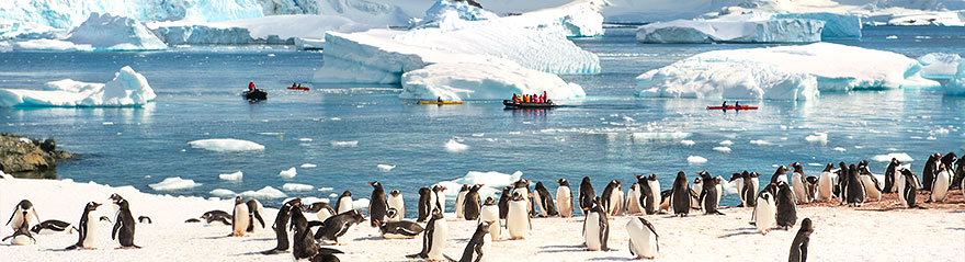 Langang auf den Shetland-Inseln bei unserer Reise in die Antarktis