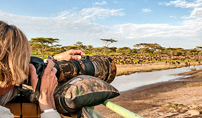 Safari in der Serengeti