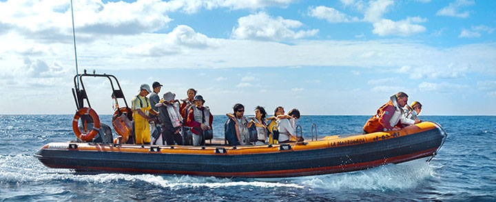 Zodiac-Boot auf der Ausfahrt zur Walbeobachtung vor der Insel Pico - Fauna-Reisen
