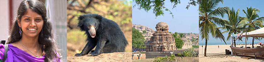 Reise nach Goa und Lippenbären beobachten in Indien