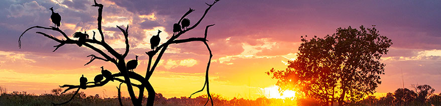 Sunset Bootstour auf dem Chobe-Fluss