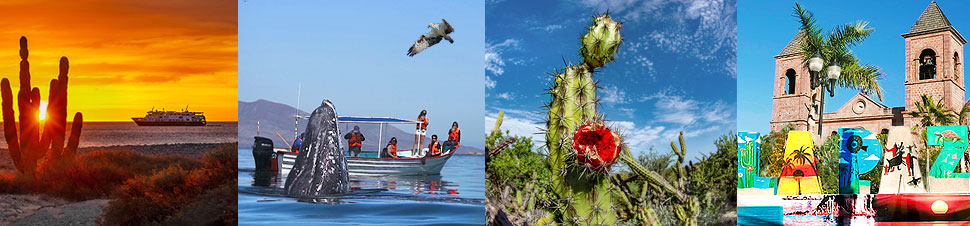 Die mexikanische Provinzhauptstadt der Baja California ist La Paz