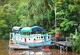 Rimba Lodge im Tanjung Puting Nationalpark