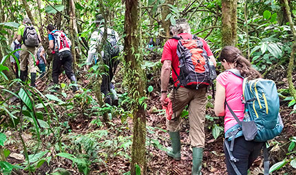 Auf einer Wanderung während unserer Sumatra-Reise