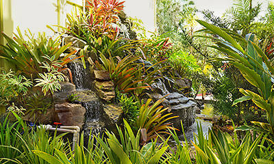 grüner Wassergarten im Queens Beach Resort