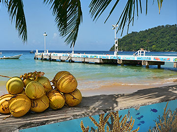 Inseltouren auf Tobago