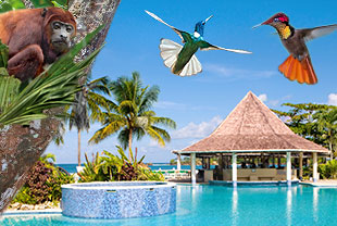 Reise nach Trinidad und Tobago