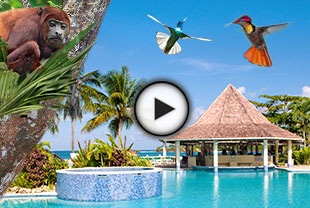 Reise nach Trinidad und Tobago
