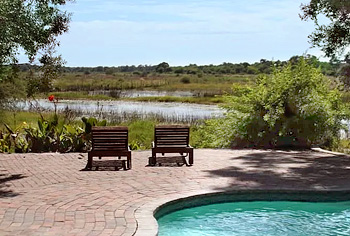 Pool der Island Safari Lodge mit Blick auf die Savanne auf unserer Botswana Safaris 