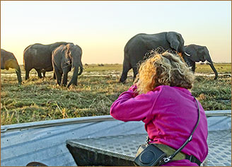 Bootstour im Chobe Nationalpark