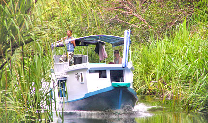 typische indonesische Hausboote für den Tanjung Puting Nationalpark in Kalimantan