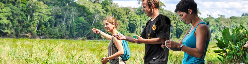 Fische angeln an einem See im Regenwald