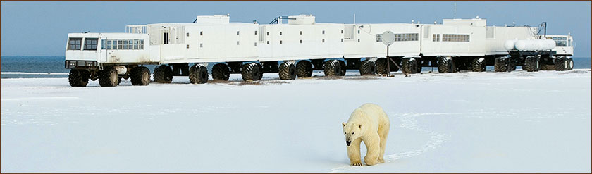 die einzelnen Waggons oder Wagen der Tundra Buggy Lodge