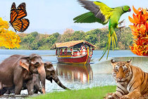 Suedindien reise