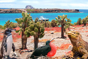 Galapagosreise Aktiv