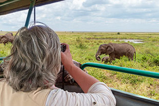 Afrika neu entdecken